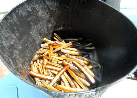 La primera semana de junio y sus sorpresas primaverales.