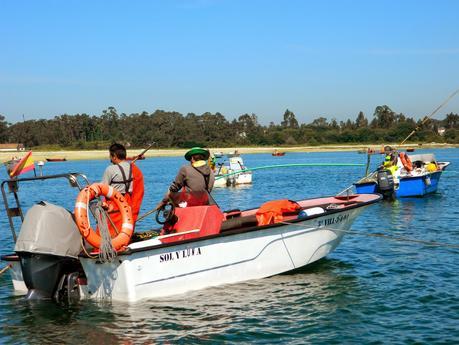 La primera semana de junio y sus sorpresas primaverales.