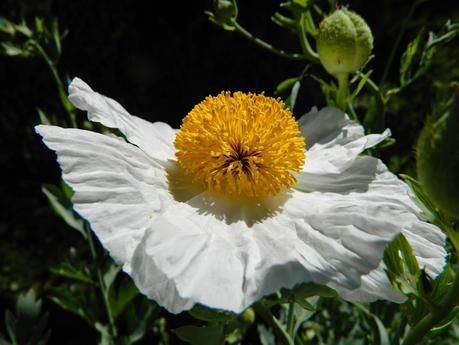 La primera semana de junio y sus sorpresas primaverales.
