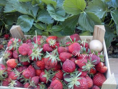 Ensalada Verde con Fresas