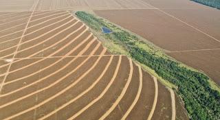 El nuevo acuerdo sobre los bosques, clave para alcanzar el desarrollo sostenible