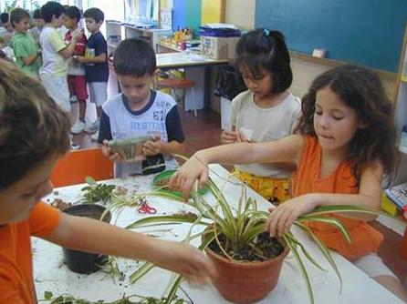 Educación inclusiva: Modelo para escuelas eficaces