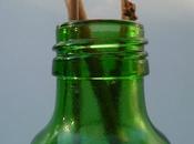 Botella: Re-utilizando