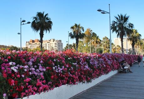 De camino al mar, los puentes más bonitos de Valencia