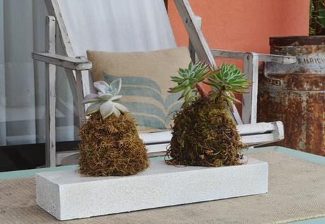 De momentos inspiradores, aerosoles y un posa suculentas {Mini DIY}