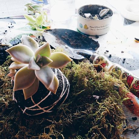 De momentos inspiradores, aerosoles y un posa suculentas {Mini DIY}