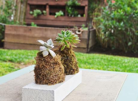 De momentos inspiradores, aerosoles y un posa suculentas {Mini DIY}