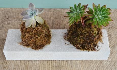 De momentos inspiradores, aerosoles y un posa suculentas {Mini DIY}