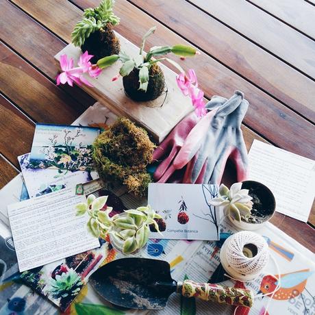 De momentos inspiradores, aerosoles y un posa suculentas {Mini DIY}