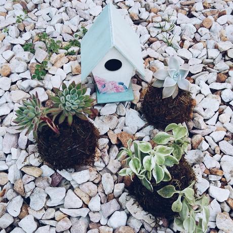 De momentos inspiradores, aerosoles y un posa suculentas {Mini DIY}