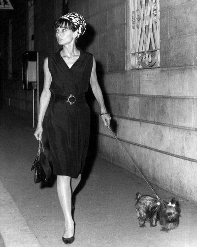 Las mascotas de Audrey Hepburn