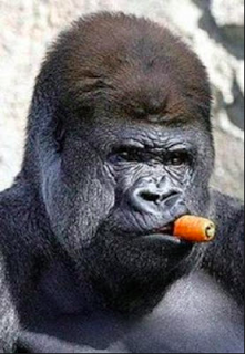 Parecidos sorprendentes: Cigarrillos y patatas Parecidos sorprendentes: Cigarrillos y patatas