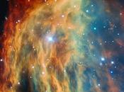 nebulosa Medusa