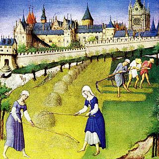 LAS TRANSFORMACIONES SOCIALES Y ECONÓMICAS DE LOS SIGLOS XIV Y XV