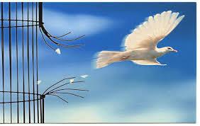 Liberarse