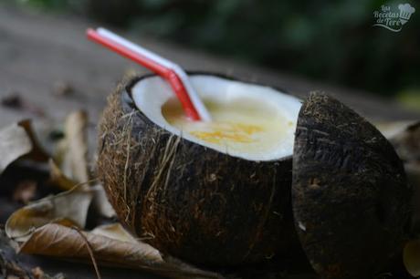 piña colada en su coco tererecetas 01