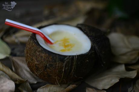 piña colada en su coco tererecetas 03