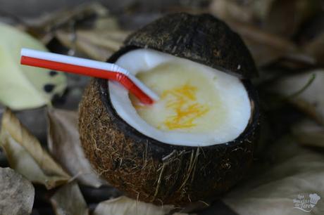 piña colada en su coco tererecetas 05