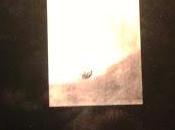 Manuel Vilas: hundimiento (1):