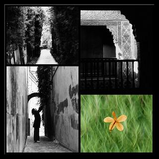 Las vidas del poeta XXVII