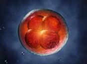 evolución impredecible irreversible, muestran biólogos