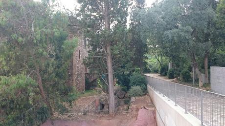 Exposición de Bonsais en el claustre del Castell Cartoixa