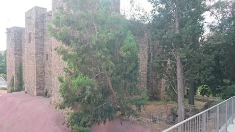 Exposición de Bonsais en el claustre del Castell Cartoixa