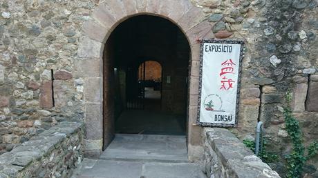 Exposición de Bonsais en el claustre del Castell Cartoixa