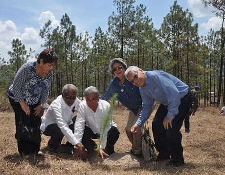 Supremo Consejo Masónico ayuda en la reforestación del cerro Calaterique en Honduras