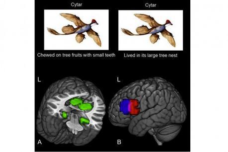 El momento exacto en que tu cerebro «graba» un recuerdo El momento exacto en que tu cerebro «graba» un recuerdo