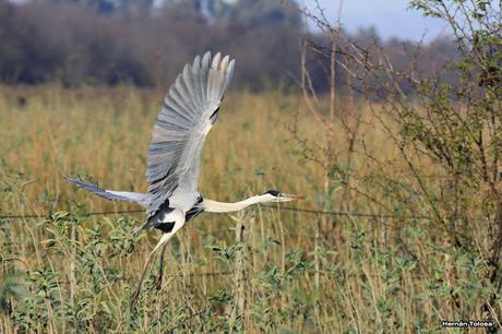 La Noria y camino Panelo