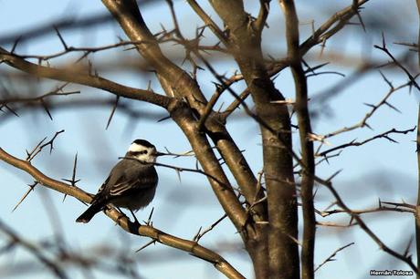 La Noria y camino Panelo