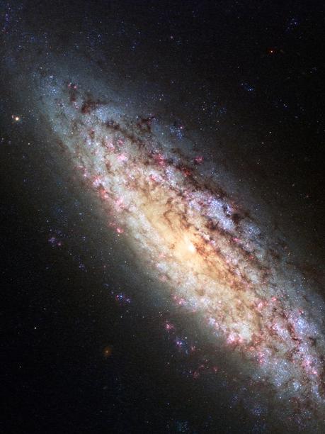 Perdidos en el espacio