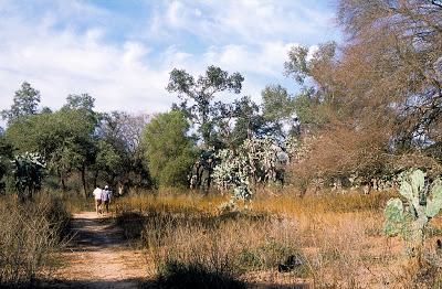El Parque Nacional Chaco desde siempre fue área de quebrachales