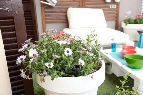 #Small & Low-cost: Tutorial para conseguir una terraza low-cost