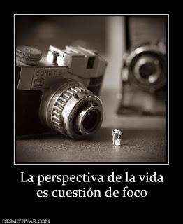 LA PERSPECTIVA