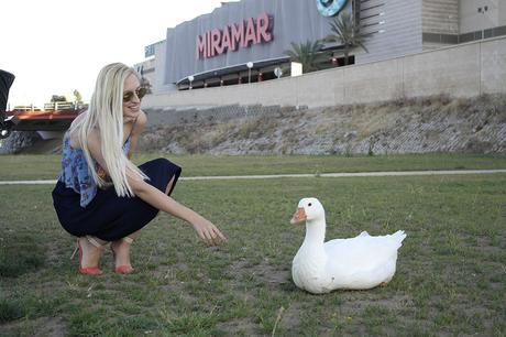 SURFER PRINT SURFER PRINT