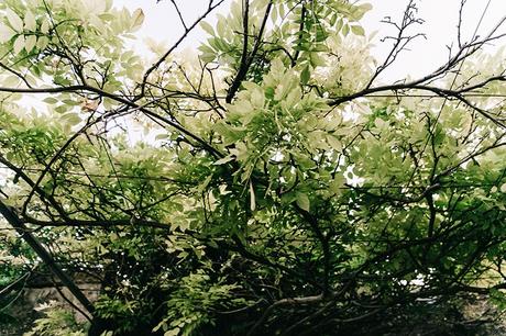 Long_Dress-ChicWish-Floral_Print-Lace_Up_Sandals-Chloe_Girls-Outfit_Street_Style-Naturalis_Bio_Resort-24