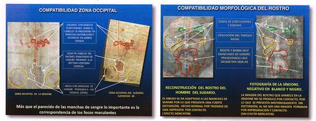 SEGUN INVESTIGACION DEL PROFESOR JUAN MANUEL MIÑARRO  MUESTRA QUE LA SABANA SANTA DE TURIN Y EL SUDARIO DE OVIEDO ENVOLVIERON EL CUERPO DE LA MISMA PERSONA