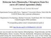 Murciélagos cuevas Italia