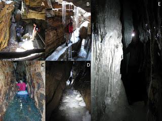 Anfípodo troglobio en cuevas de hielo