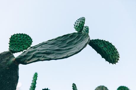 Crochet_Dress-Straw_Hat-Lack_Of_Color-Beach_Outfit-Black_Espadrilles-Italy-1