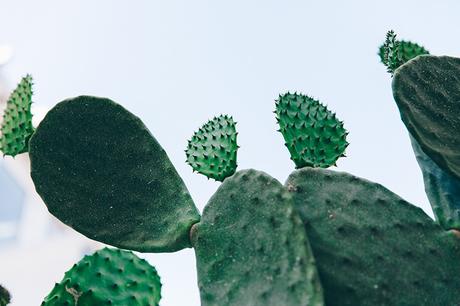 Crochet_Dress-Straw_Hat-Lack_Of_Color-Beach_Outfit-Black_Espadrilles-Italy-3