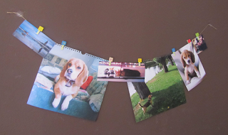 7 ideas para decorar tu hogar con fotos