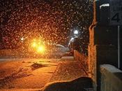 Enjambres Moscas Mayo gruesos causan accidentes automovilisticos