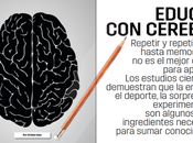 Neuroeducación, cómo educar cerebro