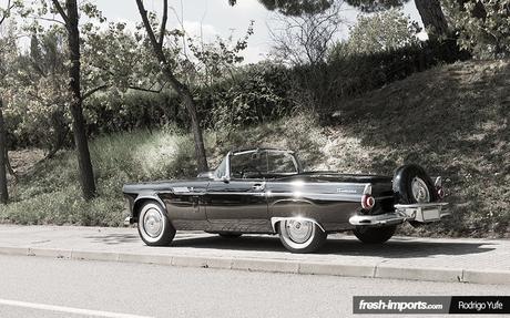 ford-thunderbird-1956-rear-side-l