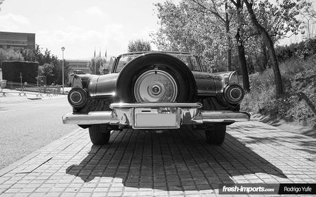 ford-thunderbird-1956-ass