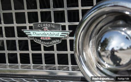 ford-thunderbird-1956-logo-thunderbird-ford