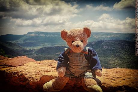 FIESTA DEL TOMILLO EN PRADES